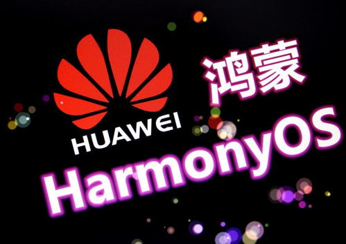 華為P50最新細節確定，鴻蒙也有新消息，幸福來得真突然